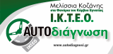 ΙΚΤΕΟ ΑΥΤΟΔΙΑΓΝΩΣΗ